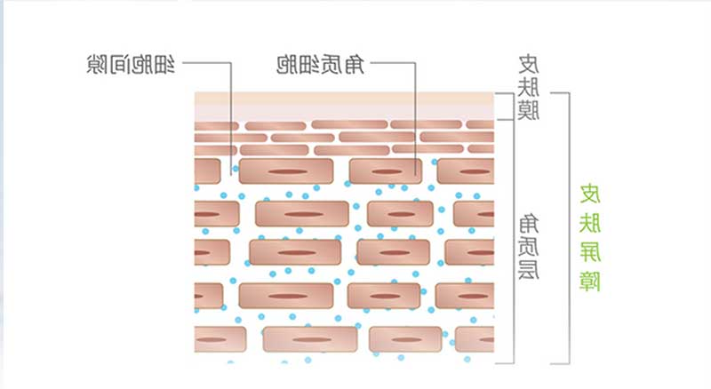 【夏季护肤第三课】超实用补水保养法！在夏日跟粗糙暗沉说拜拜-10